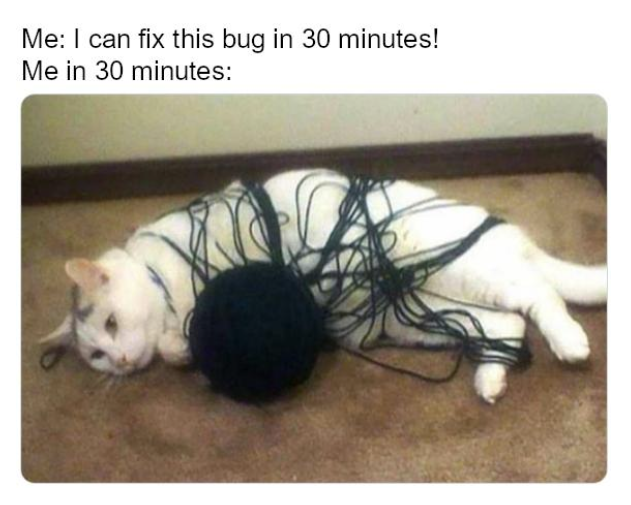 Meme title<br>Me: I can fix this bug in 30 minutes!<br>Me in 30 minutes<br>picture of a cat tangled in yarn